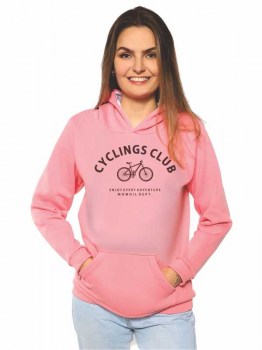 bike_427